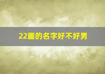 22画的名字好不好男