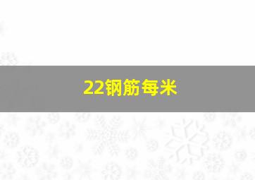 22钢筋每米