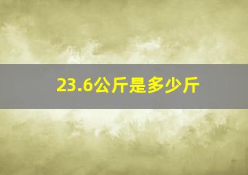 23.6公斤是多少斤