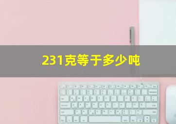 231克等于多少吨