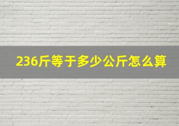 236斤等于多少公斤怎么算