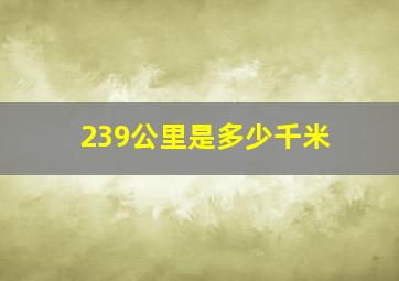 239公里是多少千米