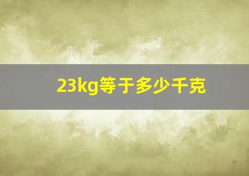 23kg等于多少千克