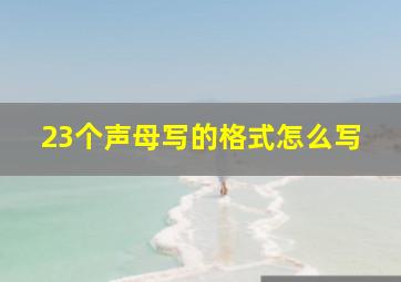 23个声母写的格式怎么写