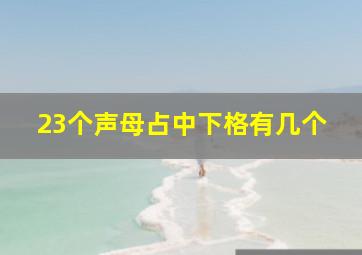 23个声母占中下格有几个