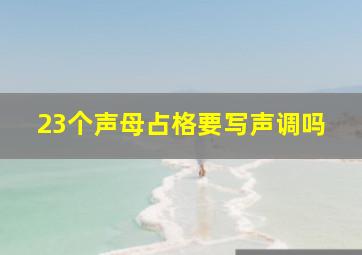 23个声母占格要写声调吗