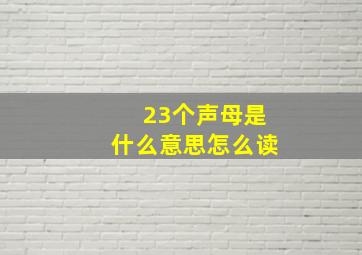 23个声母是什么意思怎么读