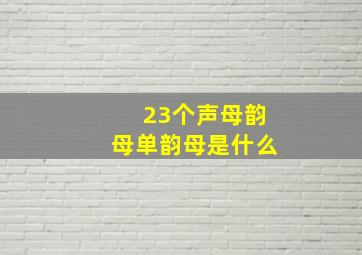 23个声母韵母单韵母是什么