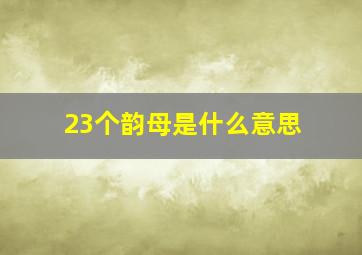 23个韵母是什么意思