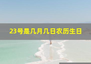 23号是几月几日农历生日