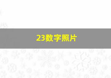 23数字照片