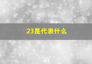 23是代表什么