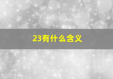 23有什么含义