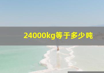 24000kg等于多少吨