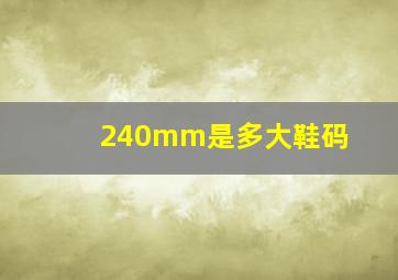 240mm是多大鞋码