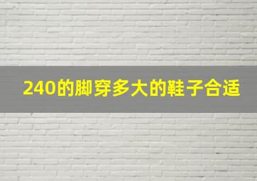 240的脚穿多大的鞋子合适