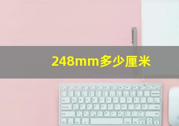 248mm多少厘米