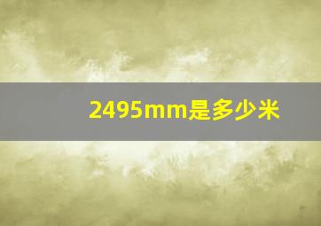 2495mm是多少米