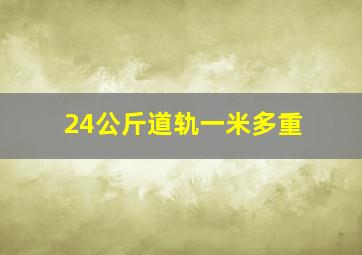 24公斤道轨一米多重