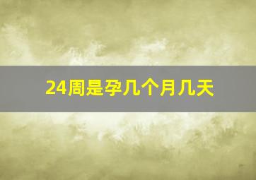 24周是孕几个月几天