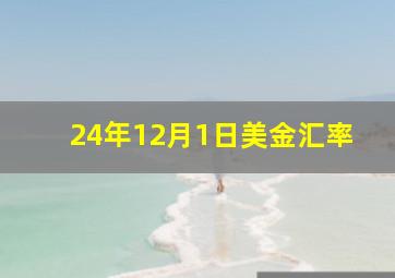 24年12月1日美金汇率