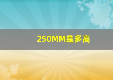 250MM是多高