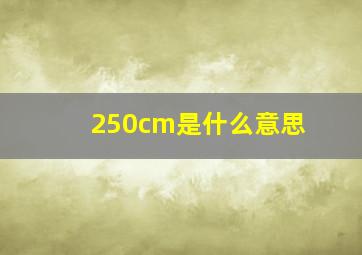 250cm是什么意思