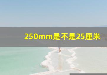 250mm是不是25厘米