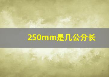 250mm是几公分长