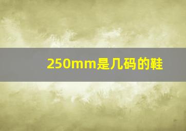 250mm是几码的鞋