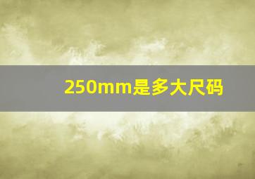 250mm是多大尺码