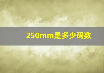 250mm是多少码数