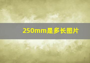 250mm是多长图片