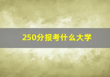 250分报考什么大学