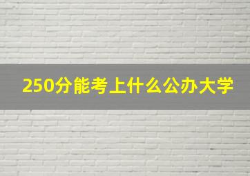 250分能考上什么公办大学