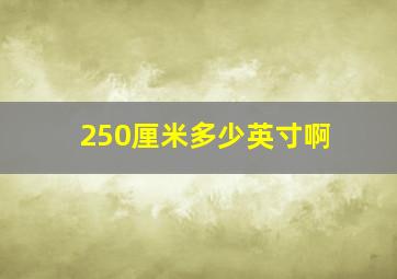 250厘米多少英寸啊