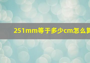 251mm等于多少cm怎么算