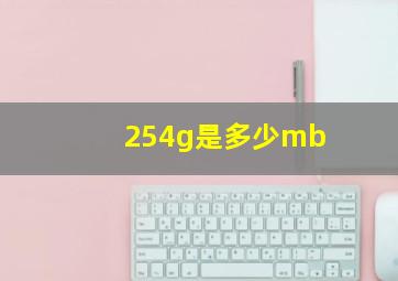 254g是多少mb