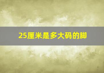 25厘米是多大码的脚