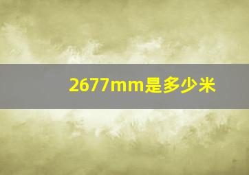 2677mm是多少米