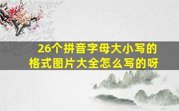 26个拼音字母大小写的格式图片大全怎么写的呀