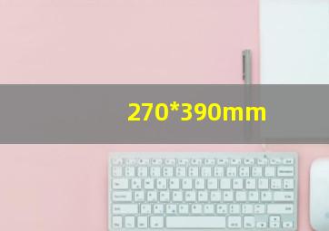 270*390mm