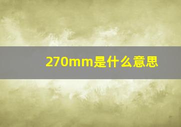 270mm是什么意思