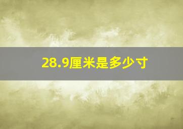 28.9厘米是多少寸