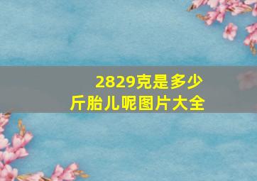 2829克是多少斤胎儿呢图片大全