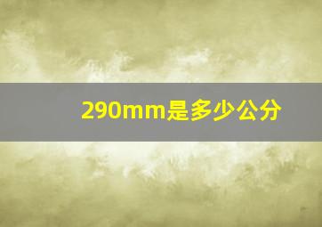 290mm是多少公分