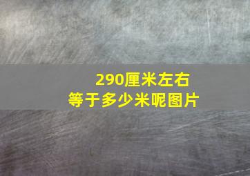 290厘米左右等于多少米呢图片