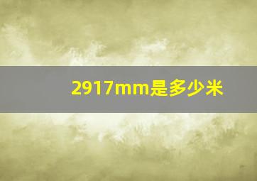 2917mm是多少米