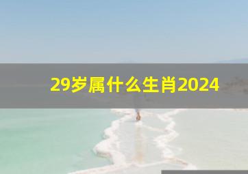 29岁属什么生肖2024