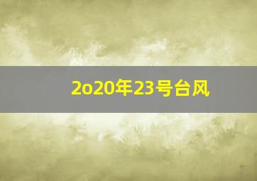 2o20年23号台风